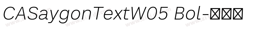 CASaygonTextW05 Bol字体转换